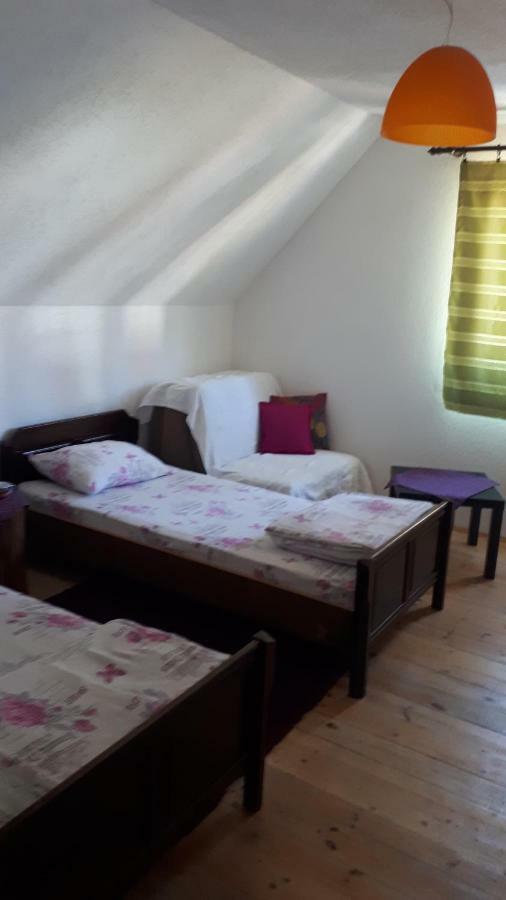 זבליאק Golubovic Apartments חדר תמונה