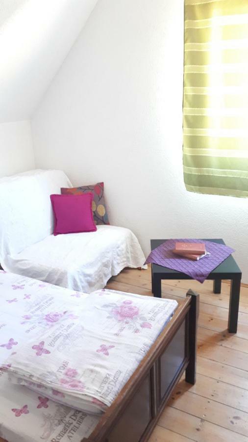 זבליאק Golubovic Apartments חדר תמונה
